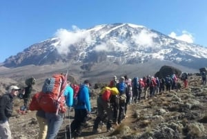 #1. Beste 5-dagers fottur på Kilimanjaro med Marangu-oppstigning