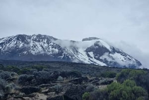 #1. Beste 5-dagers fottur på Kilimanjaro med Marangu-oppstigning