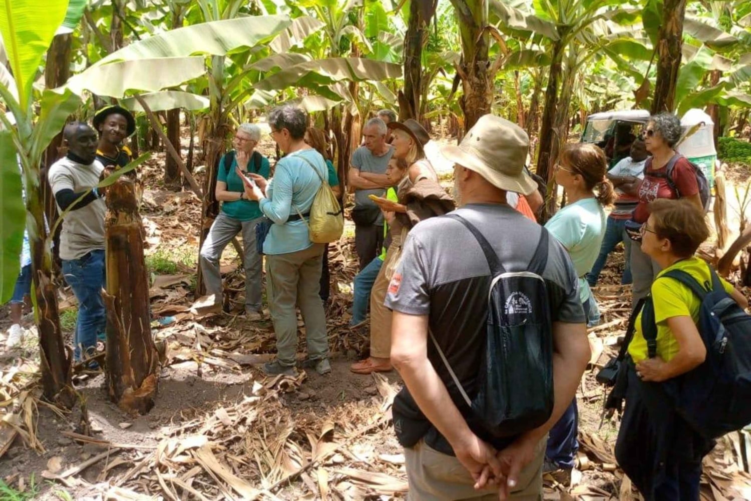 Mto wa Mbu: Kyläkulttuurikierros ja vierailu paikallisella torilla