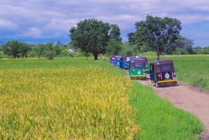 Mto wa Mbu: Kulturvandring i landsbyen med besøk på det lokale markedet