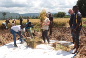Mto wa Mbu: Kulturvandring i landsbyen med besøk på det lokale markedet