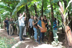 Mto wa Mbu: Kulturvandring i landsbyen med besøk på det lokale markedet