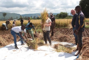 Mto wa Mbu: Kyläkulttuurikierros ja vierailu paikallisella torilla