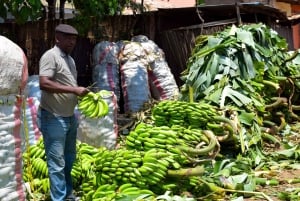 Arusha: Rundtur i landsbyen Mto wa Mbu, vandfald og Maasai Boma