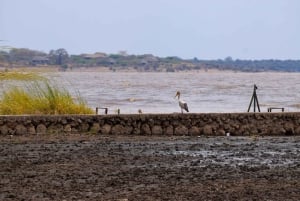 Arusha: Rundtur i landsbyen Mto wa Mbu, vandfald og Maasai Boma
