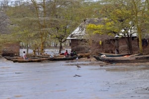 Arusha: Rundtur i landsbyen Mto wa Mbu, vandfald og Maasai Boma