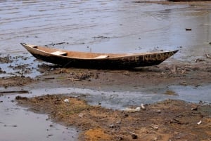 Arusha: Rundtur i landsbyen Mto wa Mbu, vandfald og Maasai Boma