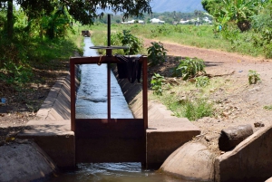 Arusha: Rundtur i landsbyen Mto wa Mbu, vandfald og Maasai Boma