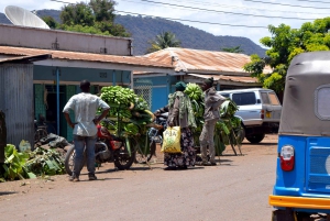 Arusha: Rundtur i landsbyen Mto wa Mbu, vandfald og Maasai Boma