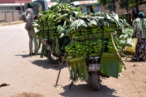 Arusha: Rundtur i landsbyen Mto wa Mbu, vandfald og Maasai Boma