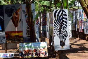 Arusha: Rundtur i landsbyen Mto wa Mbu, vandfald og Maasai Boma