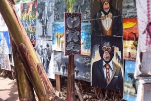 Arusha: Rundtur i landsbyen Mto wa Mbu, vandfald og Maasai Boma