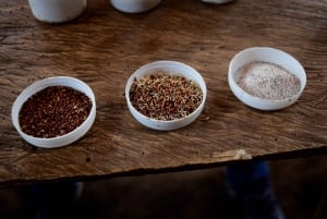 Arusha: Rundtur i landsbyen Mto wa Mbu, vandfald og Maasai Boma