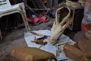 Arusha: Rundtur i landsbyen Mto wa Mbu, vandfald og Maasai Boma