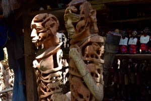 Arusha: Rundtur i landsbyen Mto wa Mbu, vandfald og Maasai Boma