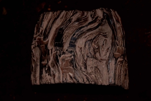 Arusha: Rundtur i landsbyen Mto wa Mbu, vandfald og Maasai Boma