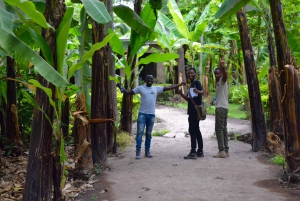 Arusha: Rundtur i landsbyen Mto wa Mbu, vandfald og Maasai Boma