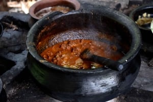 Arusha: Rundtur i landsbyen Mto wa Mbu, vandfald og Maasai Boma