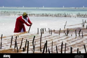 Mwani Zanzibar Unique Seaweed & Skincare Tour