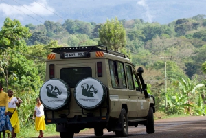 Mwanza: 3-daagse Rubondo Island Safari met chimpansee-trektocht