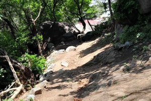 Oplevelsen Mwanza og Victoriasøen