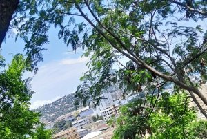 Oplevelsen Mwanza og Victoriasøen