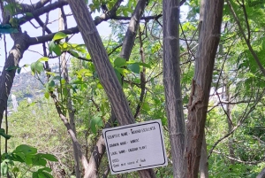 Oplevelsen Mwanza og Victoriasøen