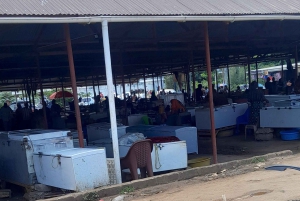 Oplevelsen Mwanza og Victoriasøen