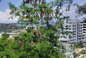 Oplevelsen Mwanza og Victoriasøen