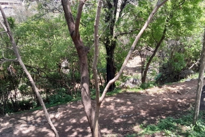 Oplevelsen Mwanza og Victoriasøen