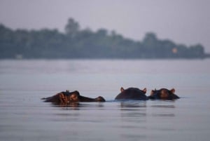 Mwanza: Viktoriasjøen båtsafari med henting på hotellet