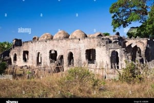 Mwanza: Nyerere Mausoleum and Museum Tour with Lunch