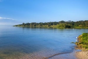 Mwanza: Geführte Tagestour zum Saanane Island Nationalpark