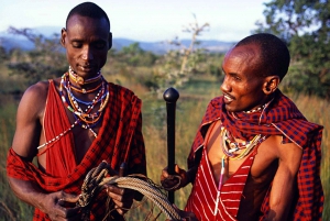 Nairobi: Amboselin kansallispuisto: Päiväretki Masai-kylän kanssa