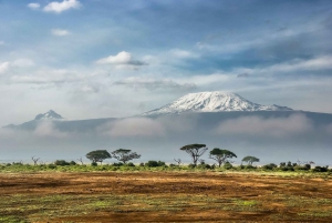Nairobi: Dagstur til Amboseli nasjonalpark med masailandsby