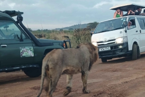 Nairobi: Tagestour zum Amboseli-Nationalpark