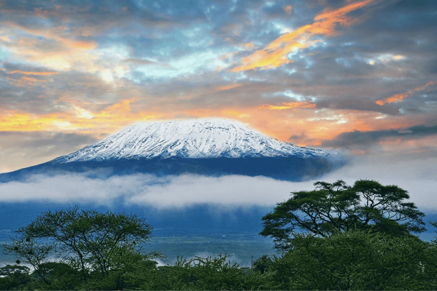 Nairobi: Bus Transfer from/to Moshi