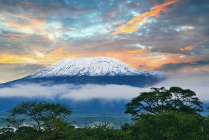 Nairobi: Bussikuljetus Moshista/ Moshiin