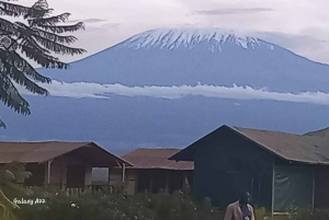 Nairobi: gita di 1 giorno al Parco nazionale di Amboseli e al villaggio Masai