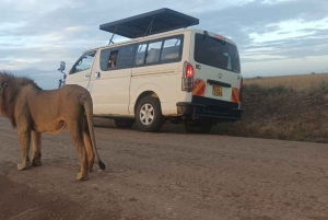 Nairobi: gita di 1 giorno al Parco nazionale di Amboseli e al villaggio Masai