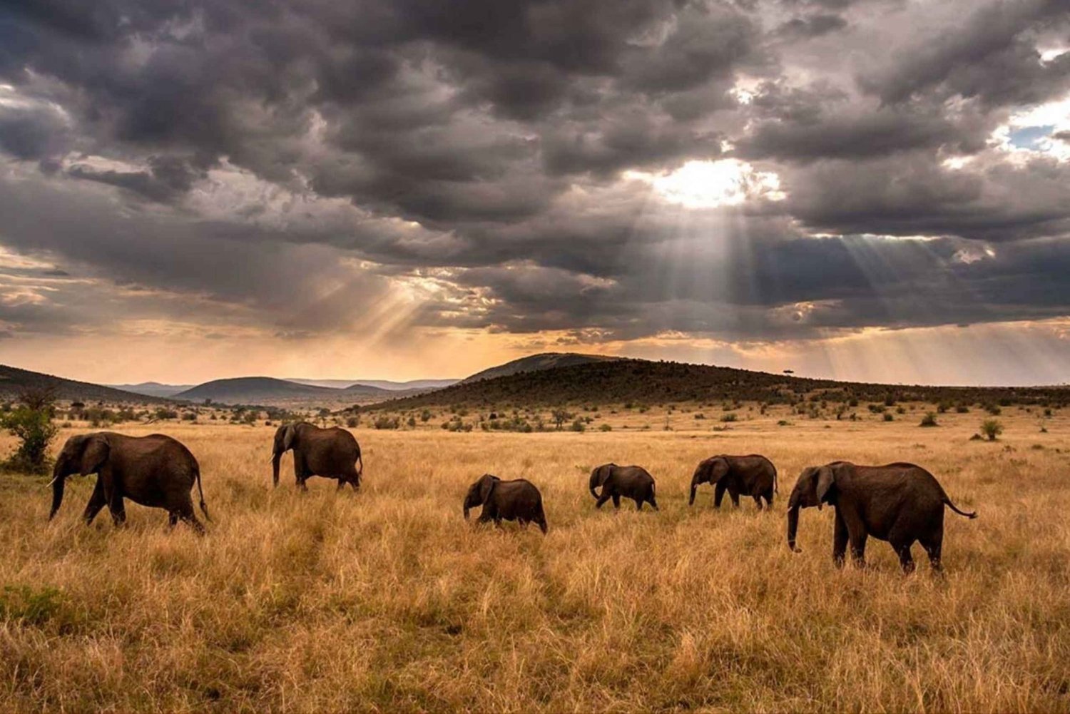 Nairobi: Private Overnight Amboseli National Park Safari