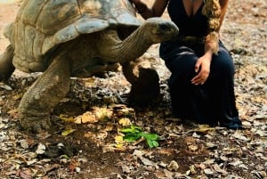 Nakupenda-sandbanken + Prison Island med den lokala guiden