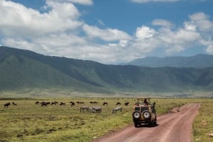 Best Time to Visit Ngorongoro Crater: Exploring the Natural Wonder