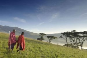 Excursion d'une journée dans la réserve naturelle et le cratère du Ngorongoro.