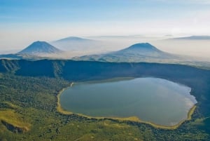 Excursión de un día a la conservación y el cráter del Ngorongoro.
