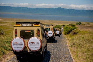Tagestour zum Ngorongoro-Schutzgebiet