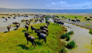 Ngorongoro Conservation Area