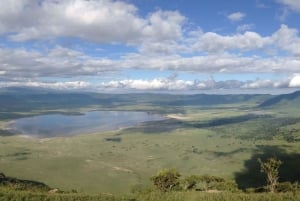 ンゴロンゴロ火口：ビッグ5サファリ日帰りツアー（キャンプツアーにご参加ください）