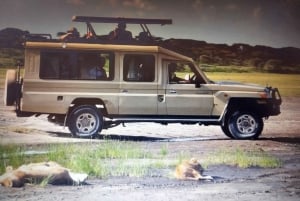 ンゴロンゴロのクレーターへの1日旅行（フルゲームドライブ）