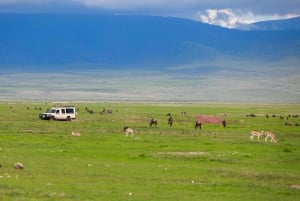 Excursion d'une journée dans le cratère du Ngorongoro Safari en groupe.